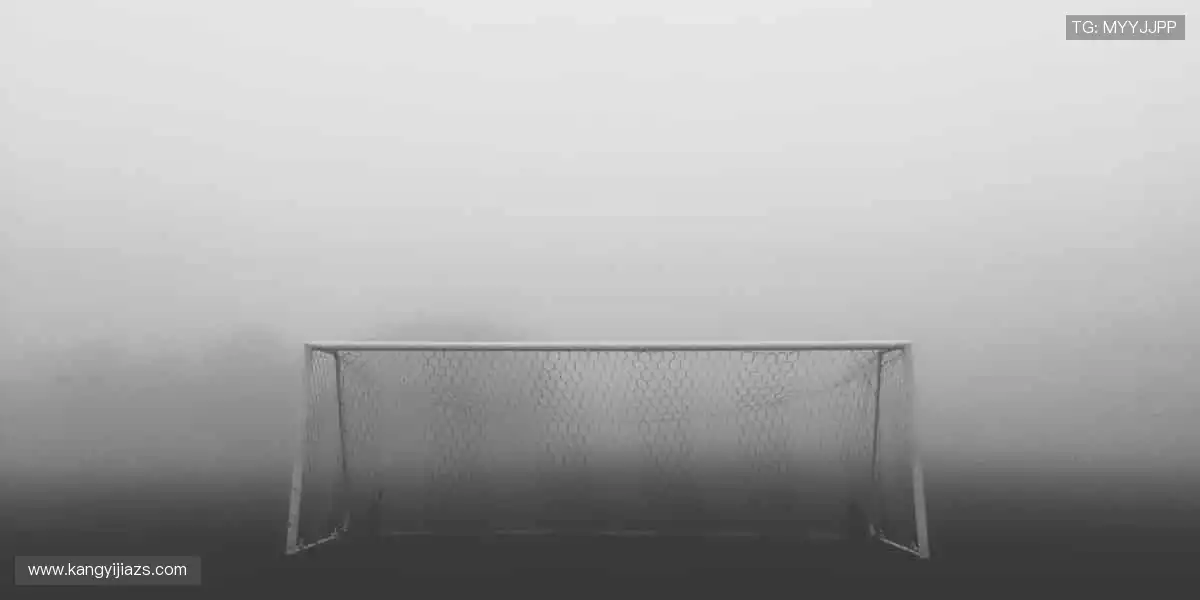 📺 高清直播，让你身临其境！